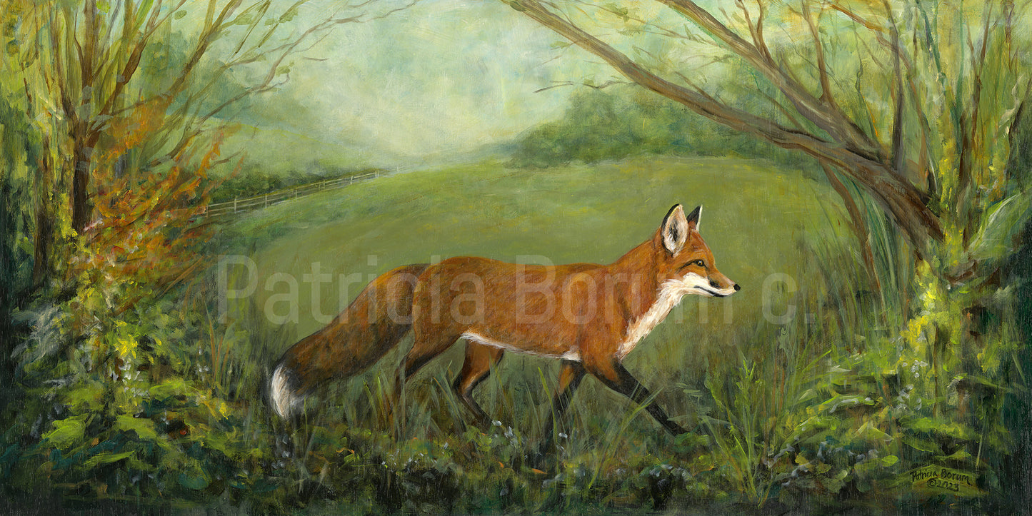 Aiken Fox print