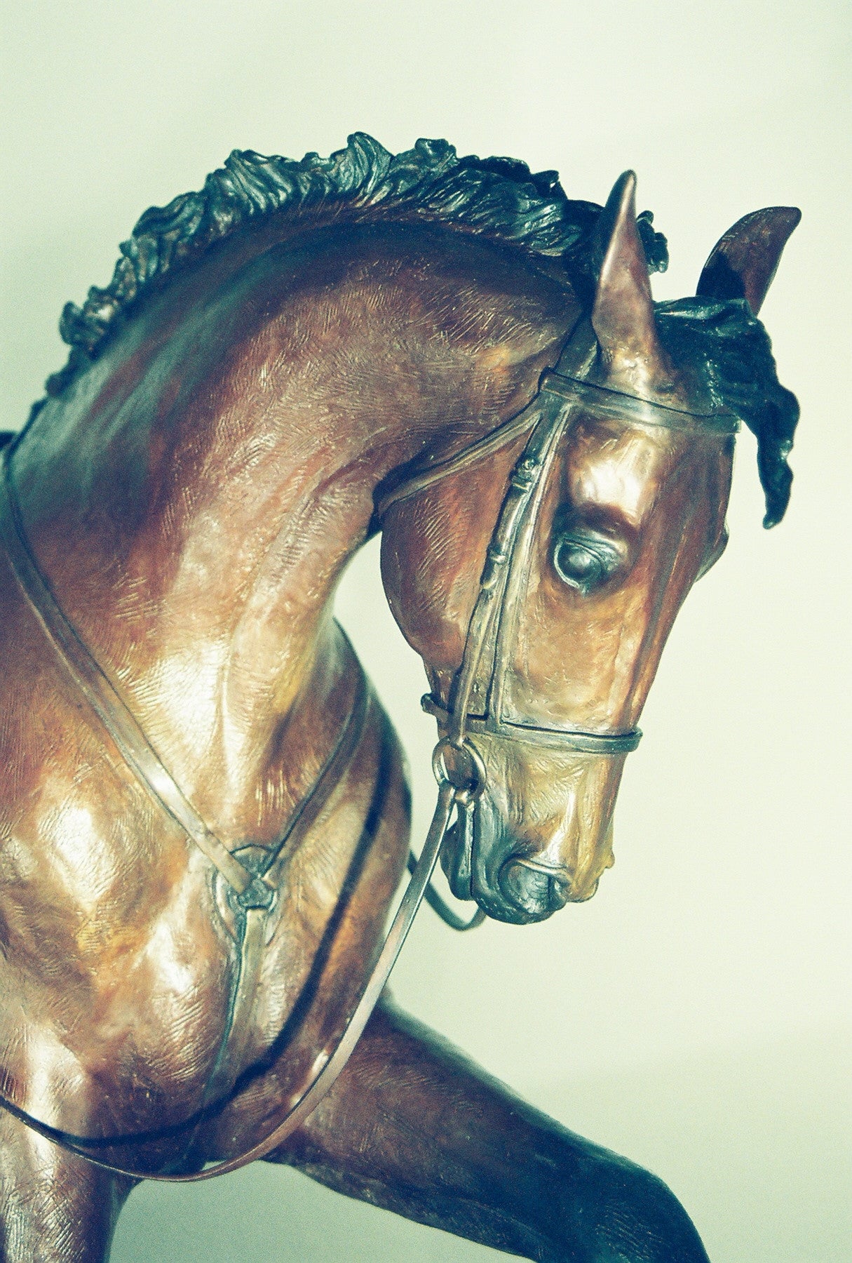 Anticipation Horse bronze statue - Patricia Borum - 2