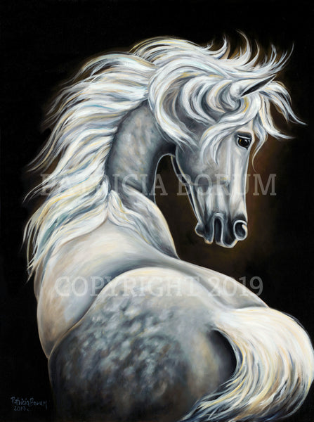 Noha startled white horse